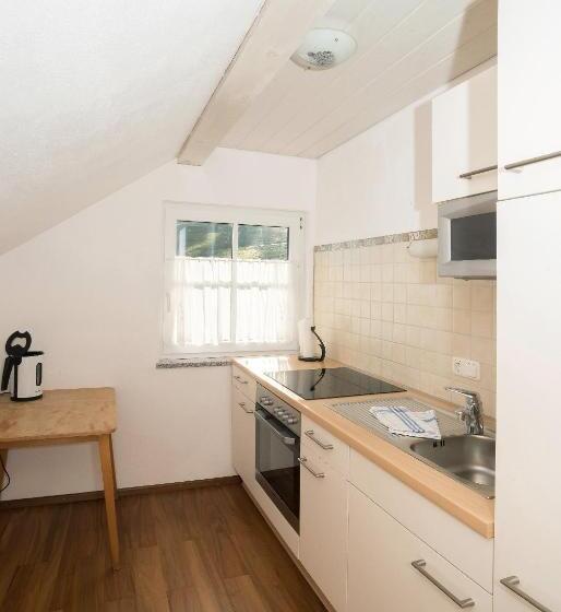 Апартаменты 1 Спальня, Haus Kendlinger