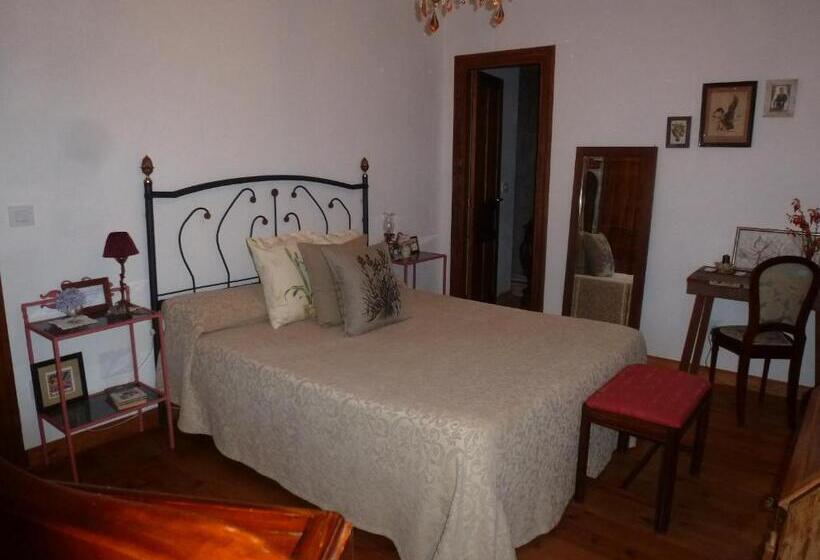 スタンダードルーム, Palacio De Arredondo