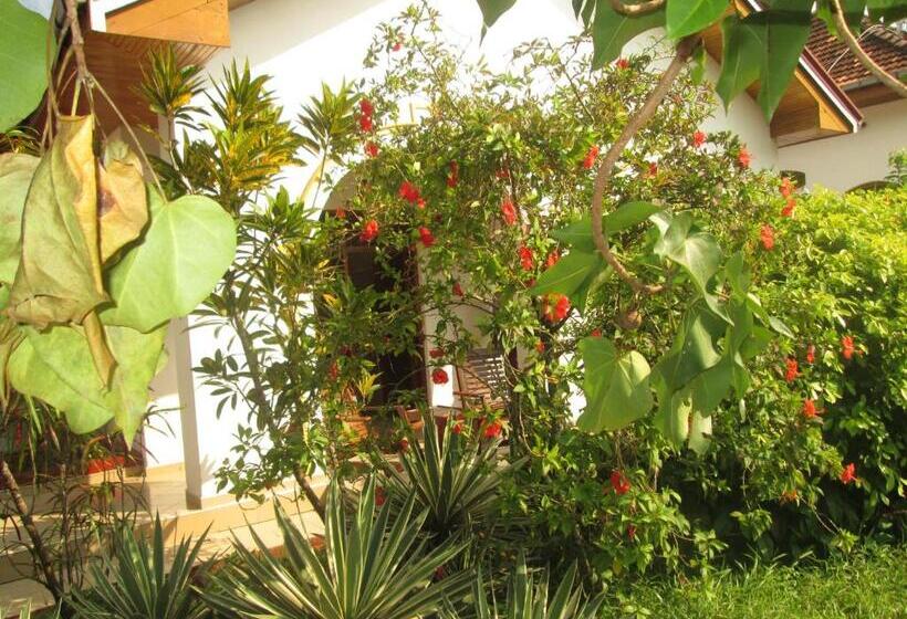 Номер Стандарт, Tandem Guesthouse