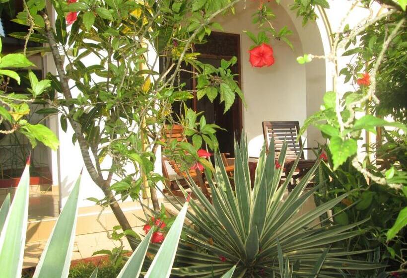 Номер Стандарт, Tandem Guesthouse