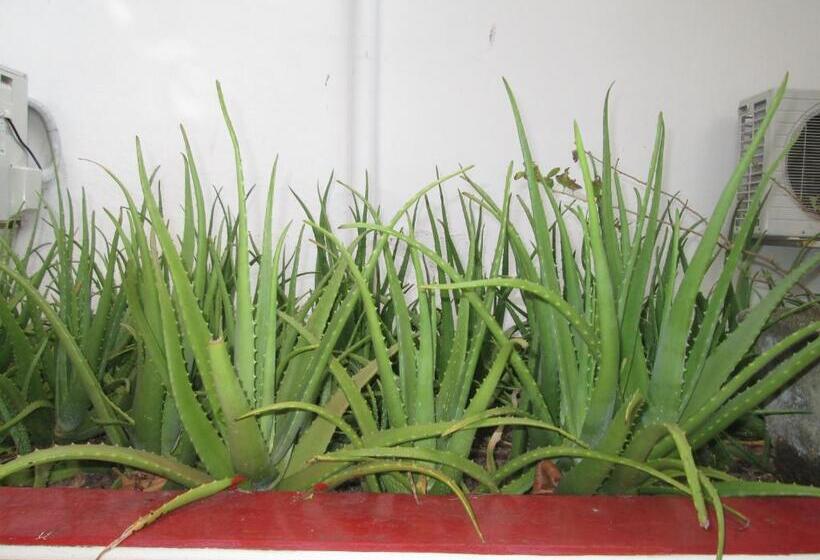 Номер Стандарт, Tandem Guesthouse