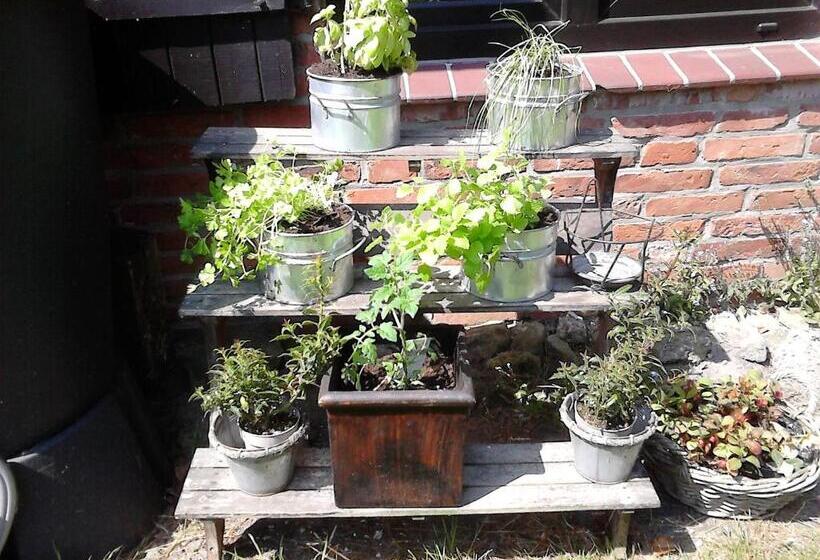 기본룸, Zum Alten Krug