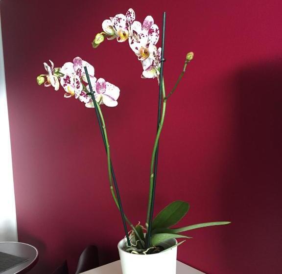 침실 1개 아파트, Apartments Seeblick Mit Anbindung An Ein 4 Sterne