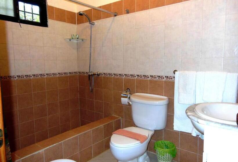 استودیوی استاندارد, Casa Lily & Coco