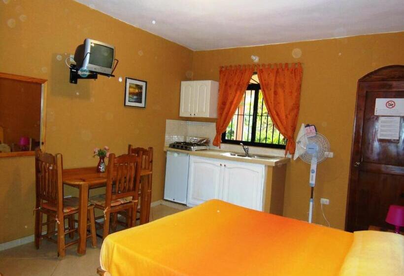 استودیوی استاندارد, Casa Lily & Coco