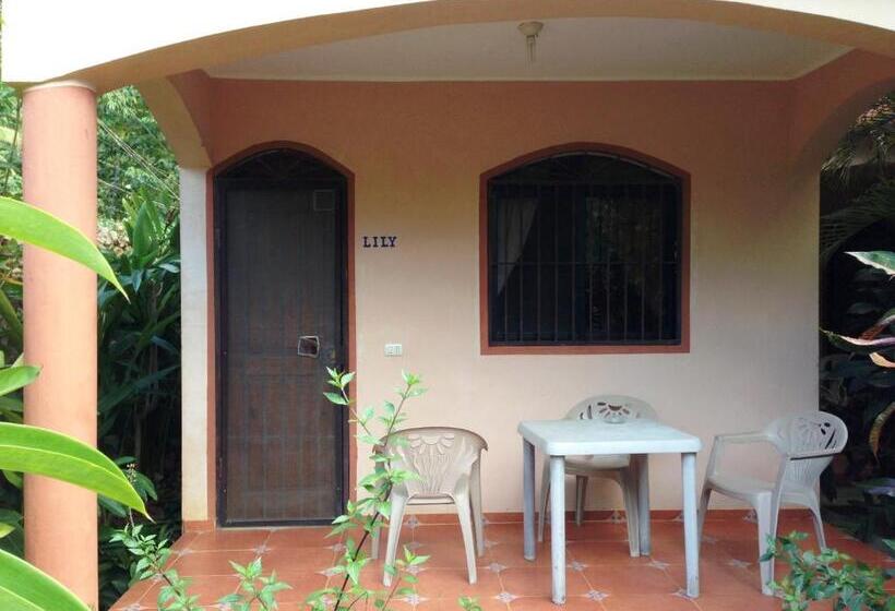 استودیوی استاندارد, Casa Lily & Coco