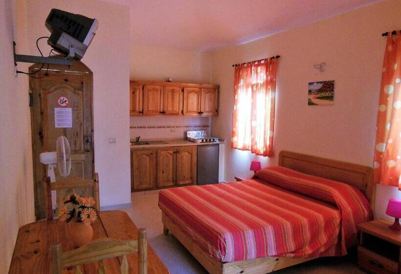 استودیوی استاندارد, Casa Lily & Coco