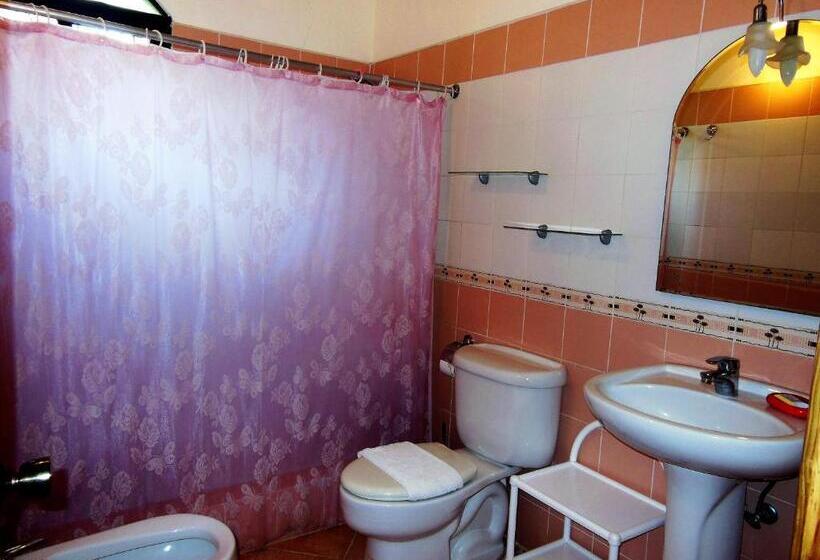 استودیوی استاندارد, Casa Lily & Coco