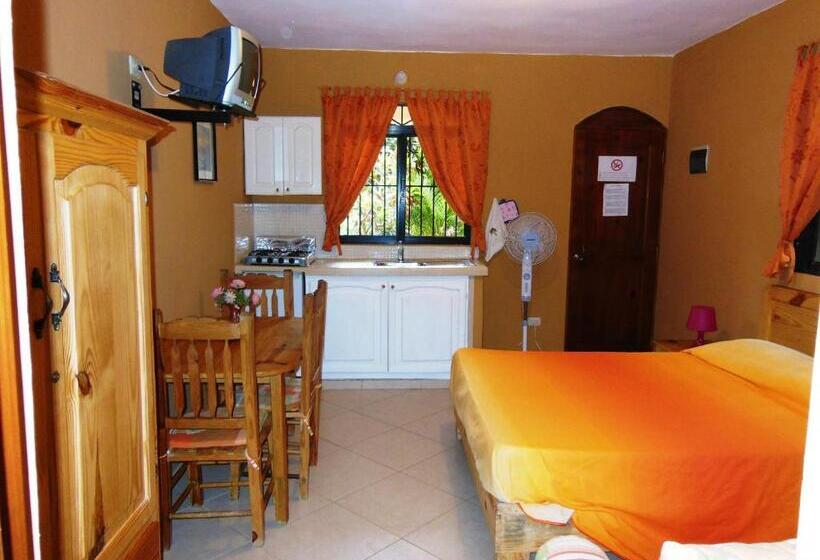 استودیوی استاندارد, Casa Lily & Coco