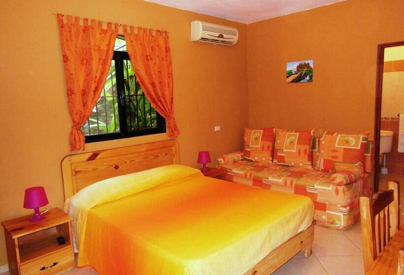 استودیوی استاندارد, Casa Lily & Coco