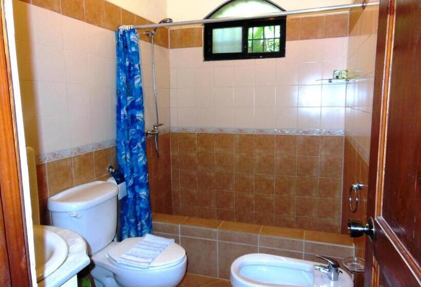 استودیوی استاندارد, Casa Lily & Coco