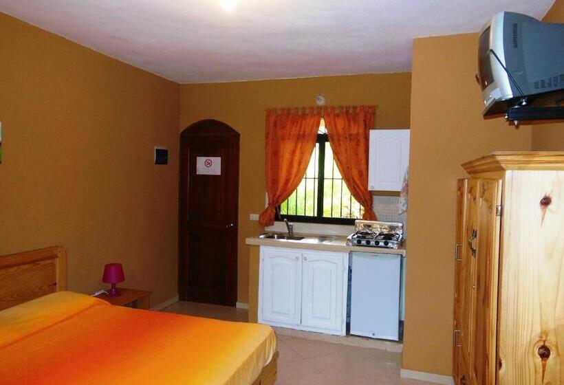 استودیوی استاندارد, Casa Lily & Coco