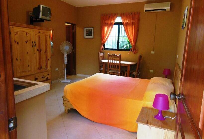 استودیوی استاندارد, Casa Lily & Coco