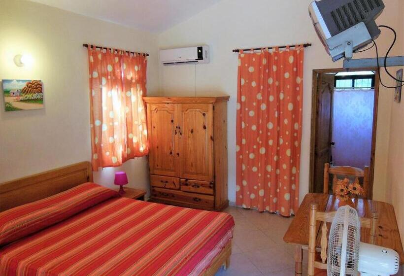 استودیوی استاندارد, Casa Lily & Coco