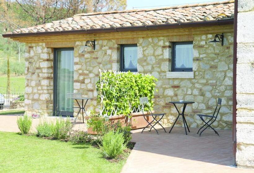 חדר סטנדרט, Agriturismo San Lorenzo