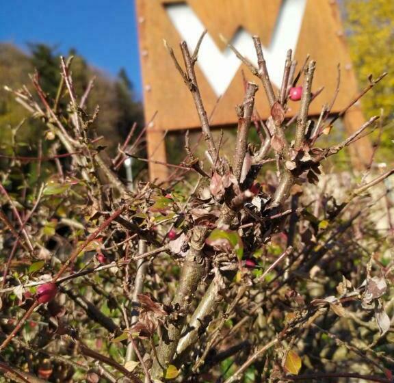 סוויטה משפחתית 2 חדרי שינה, Gästehaus Waldeck