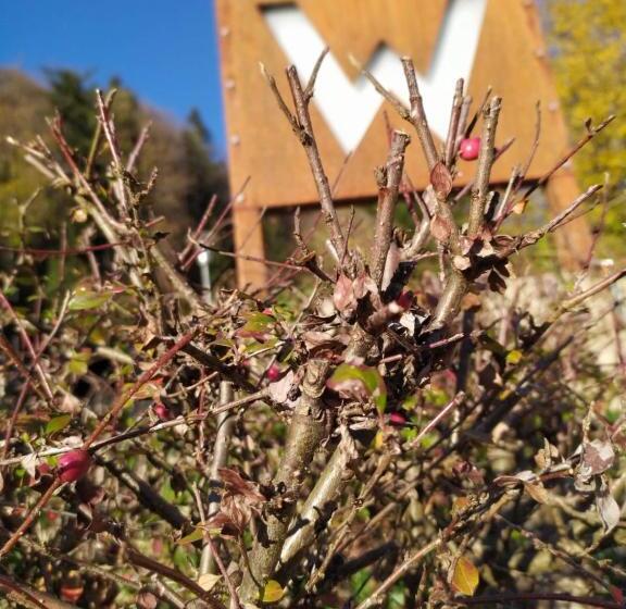 חדר סטנדרט עם מרפסת, Gästehaus Waldeck