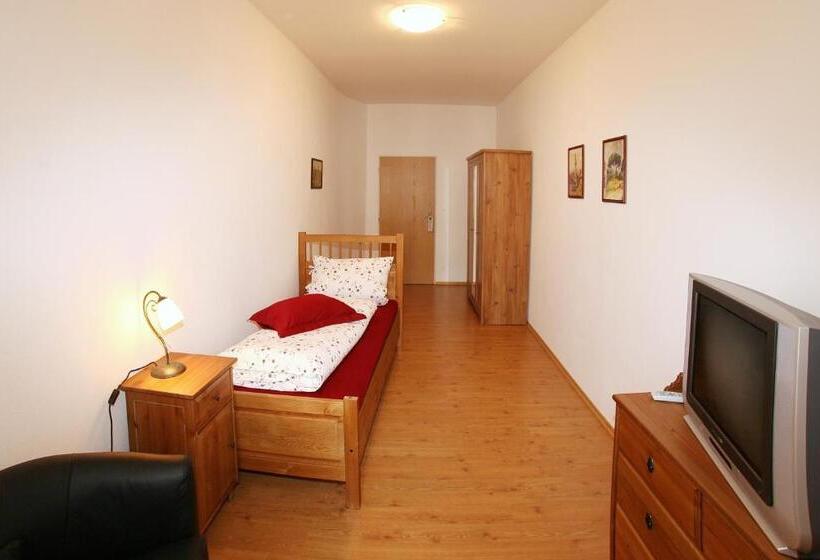 חדר סטנדרט יחיד, Penzion U Chodskeho Hradu