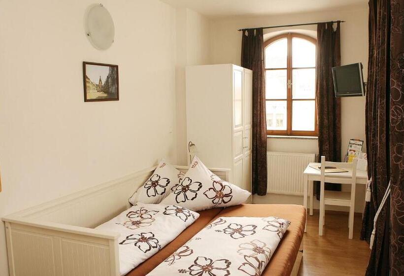 חדר סטנדרט יחיד, Penzion U Chodskeho Hradu