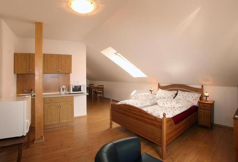 חדר סטנדרט, Penzion U Chodskeho Hradu