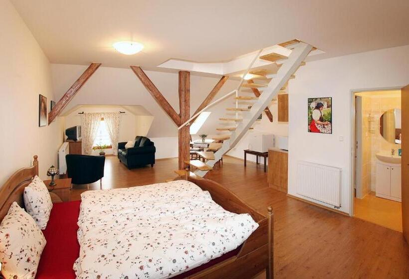 חדר סטנדרט לשלושה, Penzion U Chodskeho Hradu