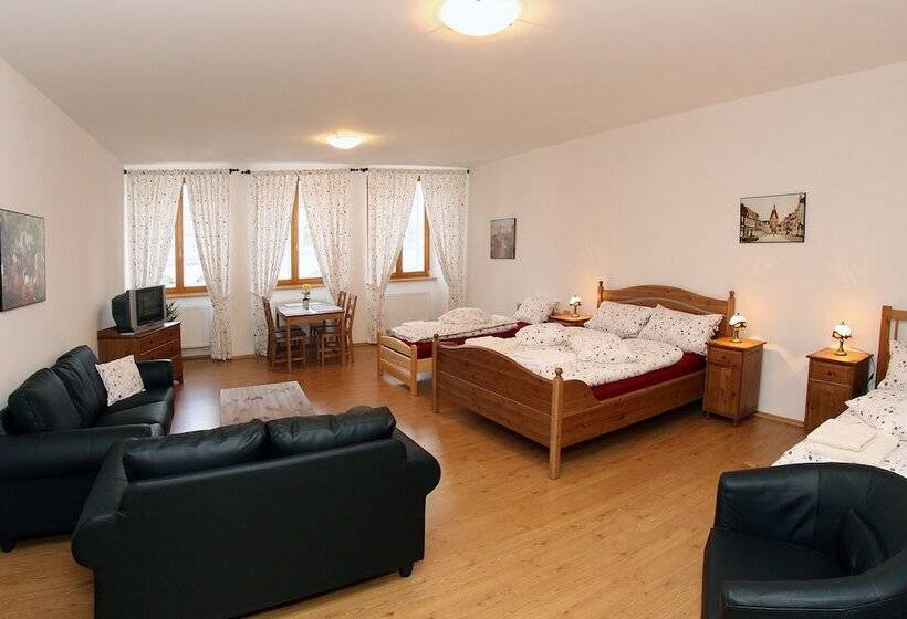 חדר סטנדרט לארבעה, Penzion U Chodskeho Hradu