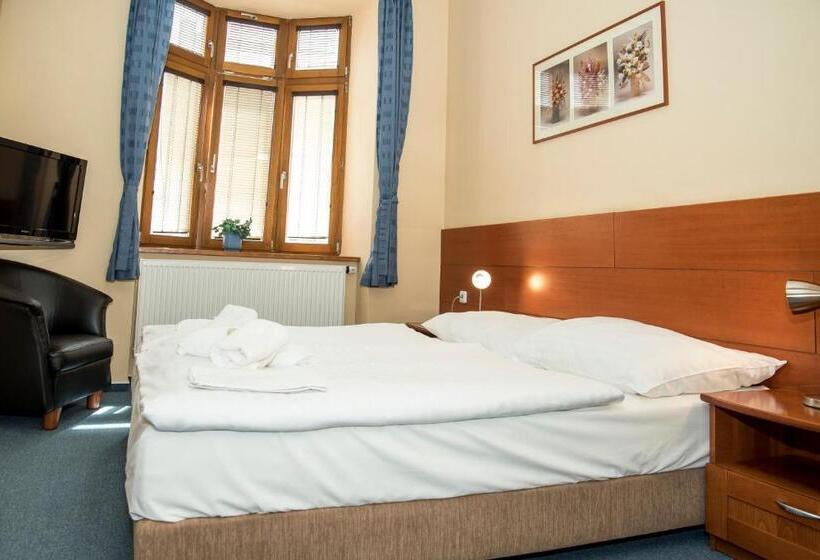 شقة غرفة واحدة, Penzion Zelená žába