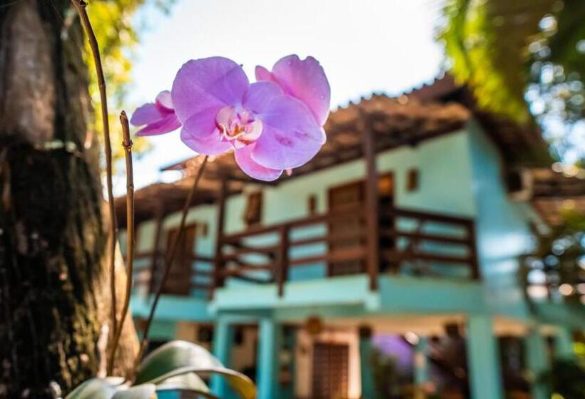 Семейный Номер Superior, Pousada Bambu