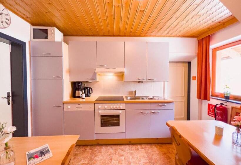 침실 3개 아파트, Sylpaulerhof Apart