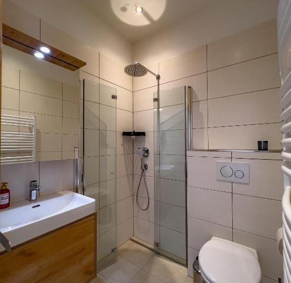 1ベッドルームのスーペリアアパートメント, Sylpaulerhof Apart