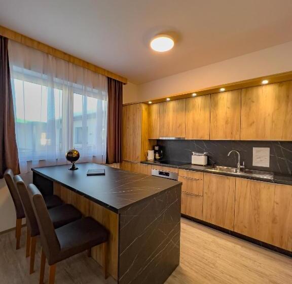 1ベッドルームのスーペリアアパートメント, Sylpaulerhof Apart