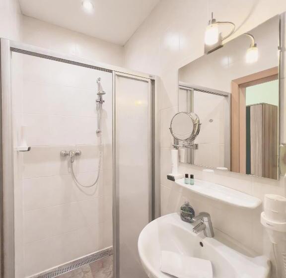 バルコニー付きスタンダードルーム, Sylpaulerhof Apart