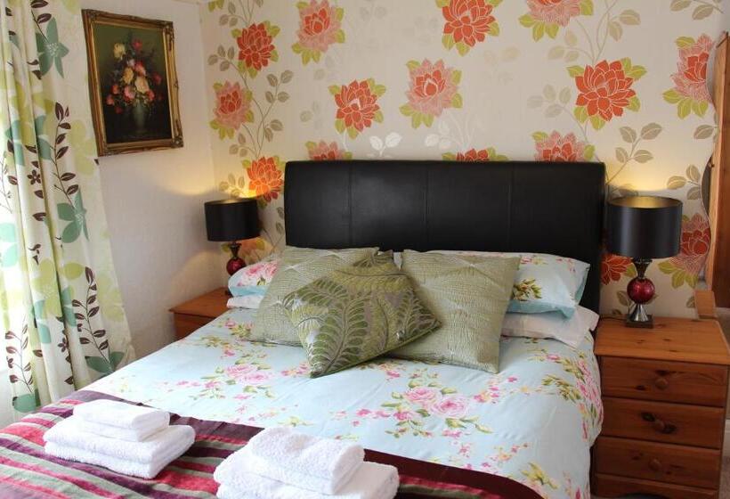 스탠다드 룸, The Homestar