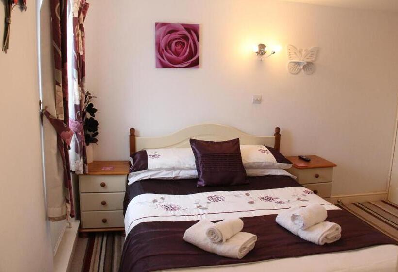 Номер Стандарт, The Homestar