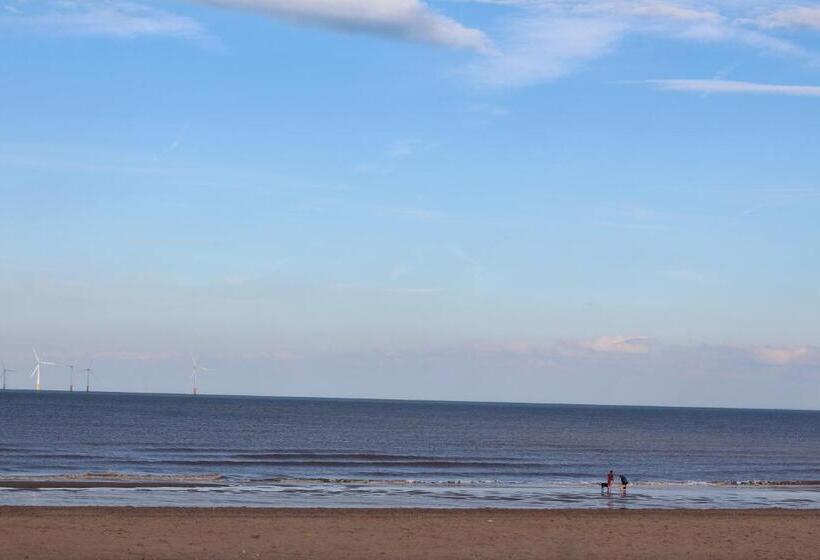 Номер Стандарт Индивидуальный Совместная Ванная, The Homestar