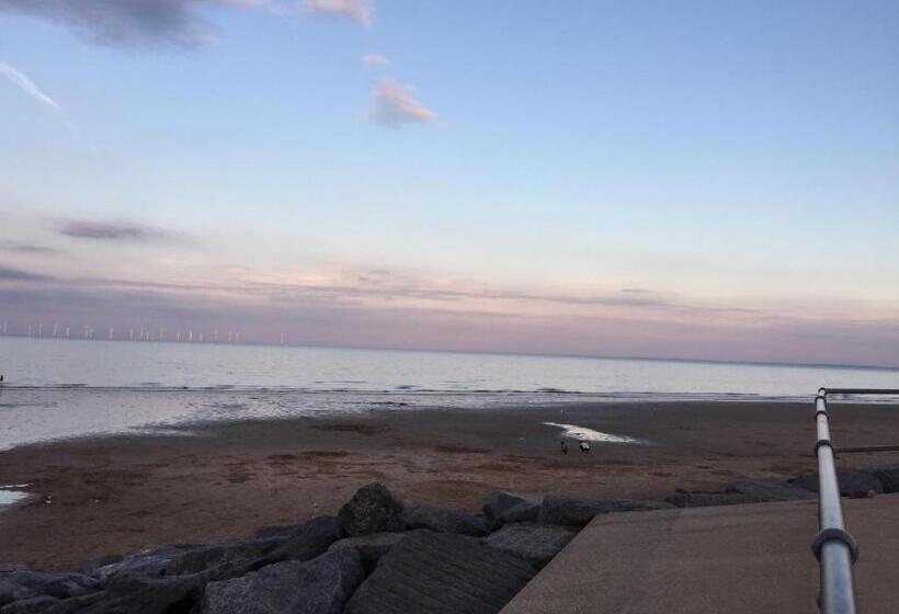 기본룸, The Homestar