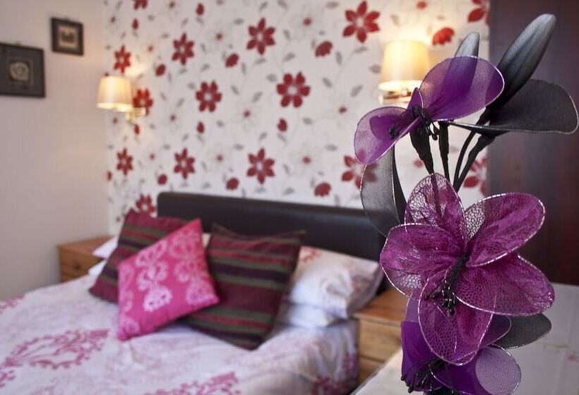 Номер Стандарт, The Homestar