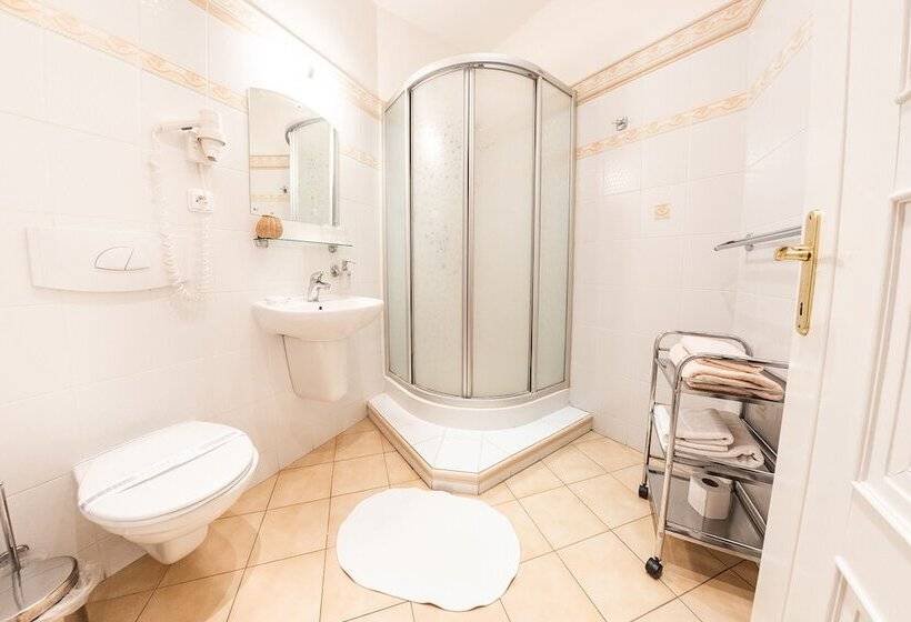 غرفة قياسية, Villa A. Malka