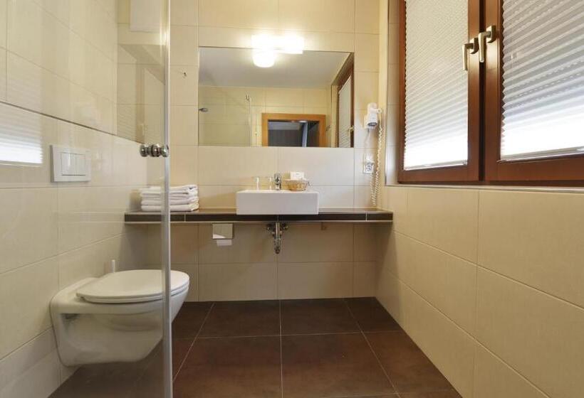 Номер Superior, Pension Zur Sonne