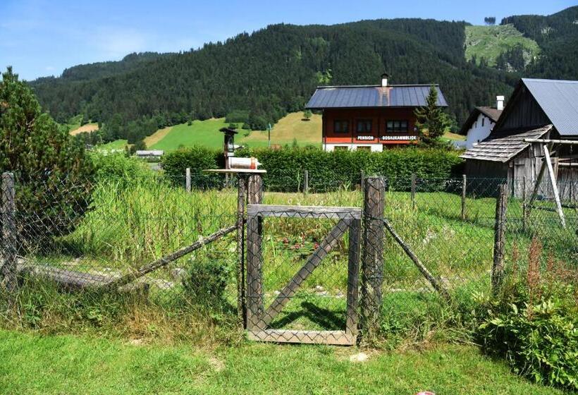 آپارتمان 1 خوابه با بالکن, Frühstückspension Pachler