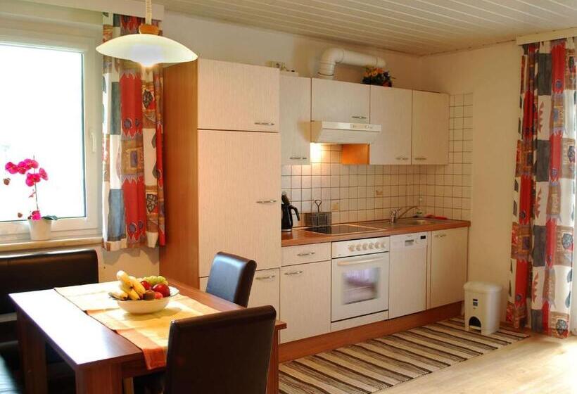 آپارتمان 1 خوابه با بالکن, Frühstückspension Pachler