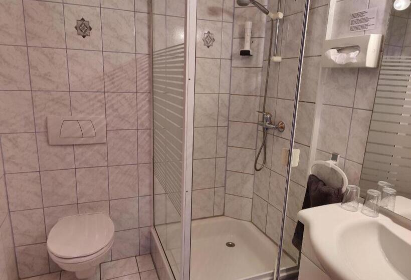 חדר סטודיו סטנדרד, Pension Almhof