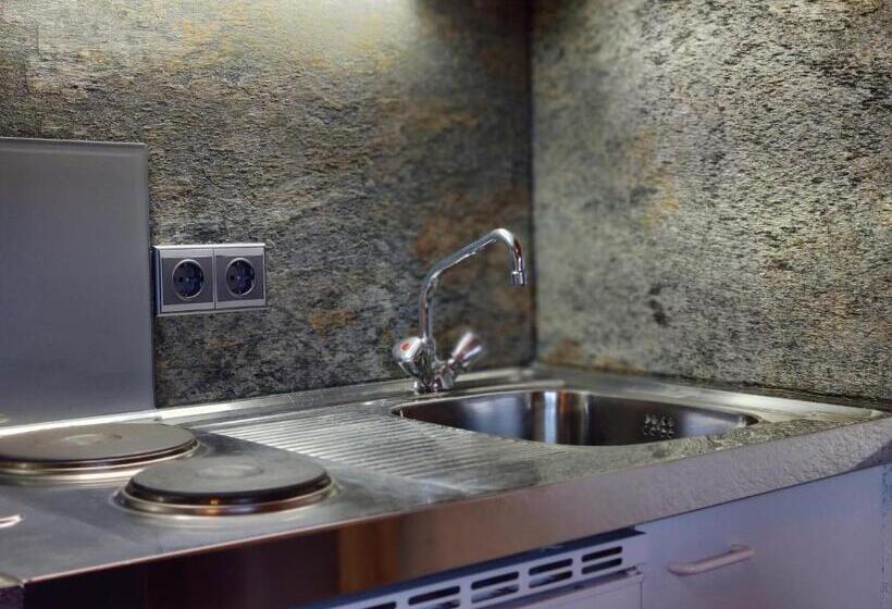 חדר סטודיו סטנדרד, Pension Almhof