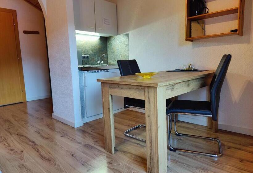 חדר סטודיו סטנדרד, Pension Almhof