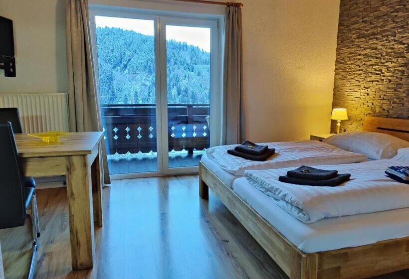 חדר סטודיו סטנדרד, Pension Almhof