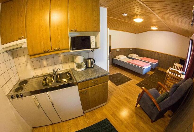 带1个卧室的公寓, Kaamasen Kievari