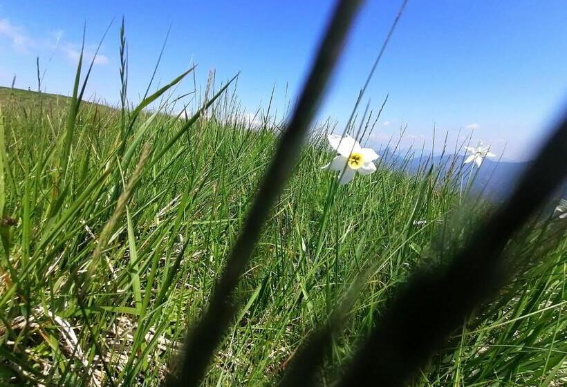 1 Bedroom Apartment Lake View, La Ruota Del Mulino