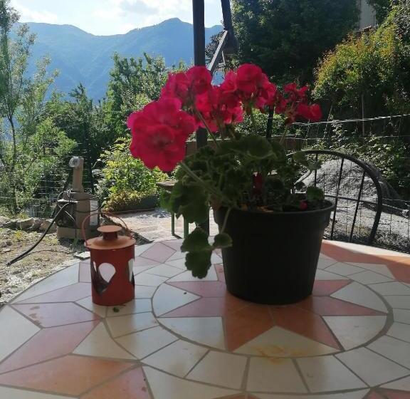 Студия Стандарт, La Ruota Del Mulino