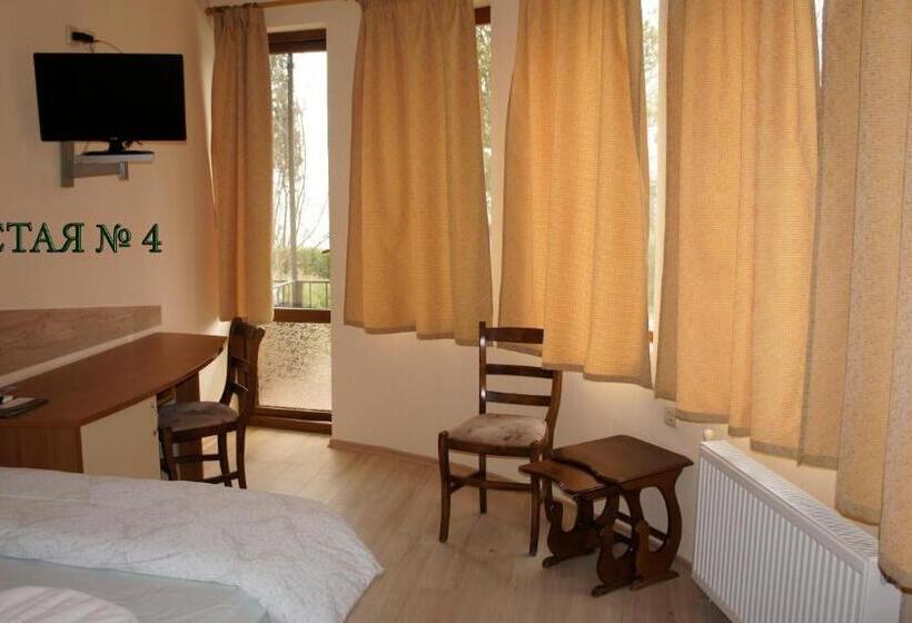 חדר סטנדרט נוף לים עם מרפסת, Complex Maxim