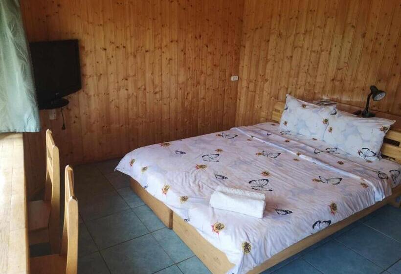 اتاق استاندارد, Griežto 5